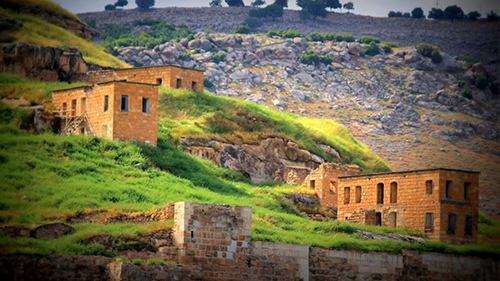 Halfeti